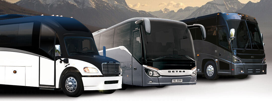 Ultra Coachliner and two coach buses