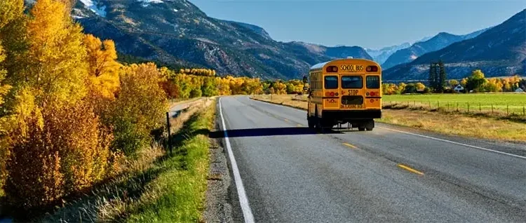 New School Buses For Sale Alabama
