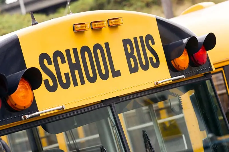 School Bus Size Considerations