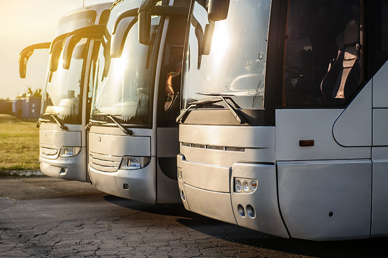 New coach buses parked in the sunset