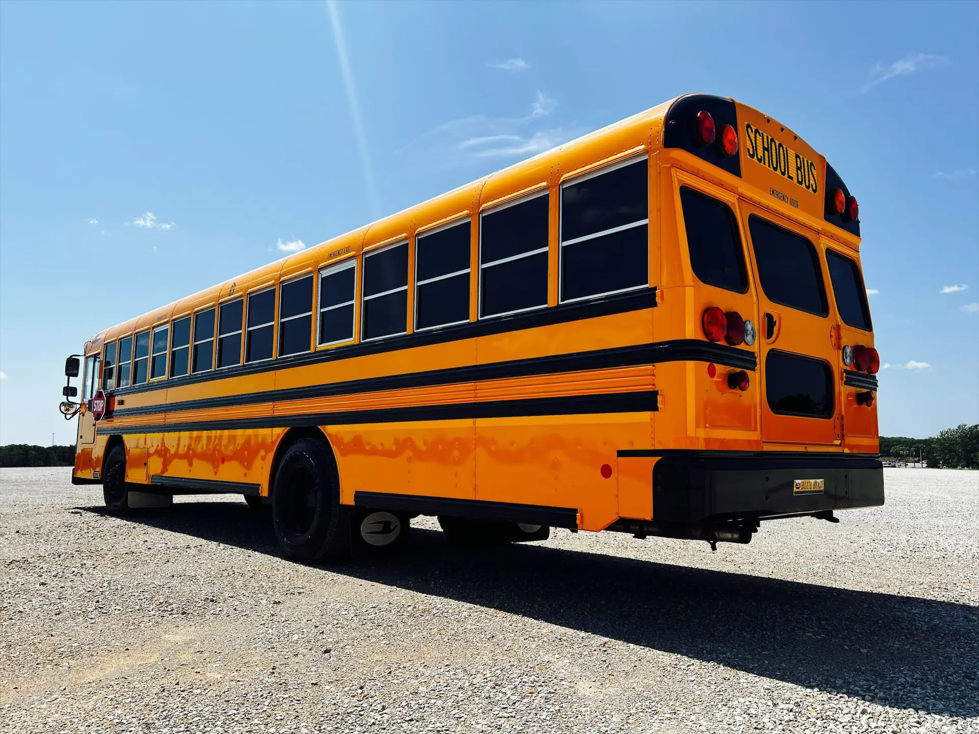 New School Bus For Sale Montana