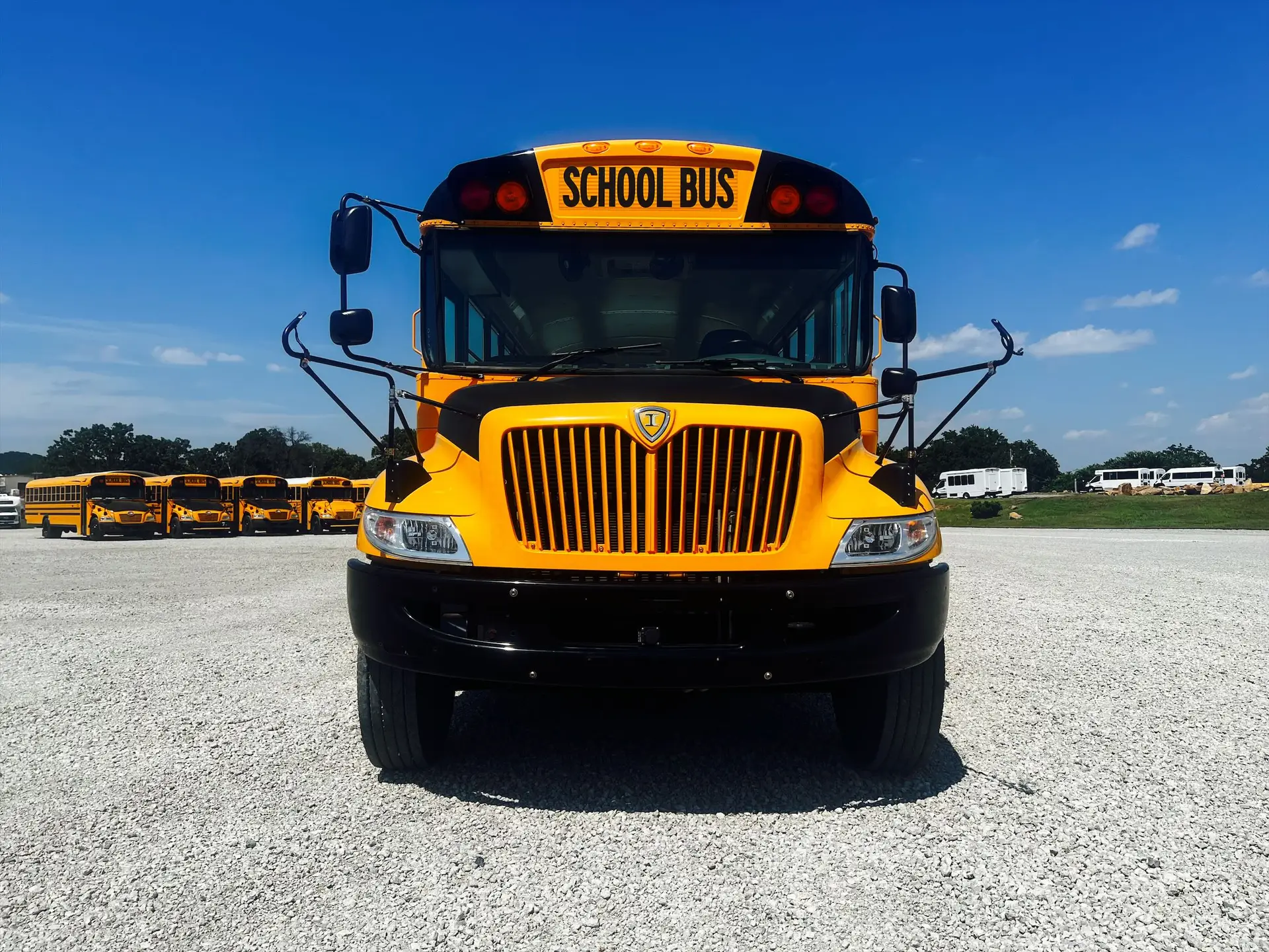 Used School Bus For Sale Mississippi