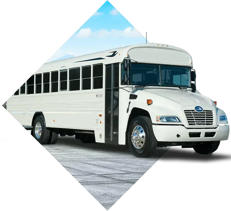 Activity Buses For Sale