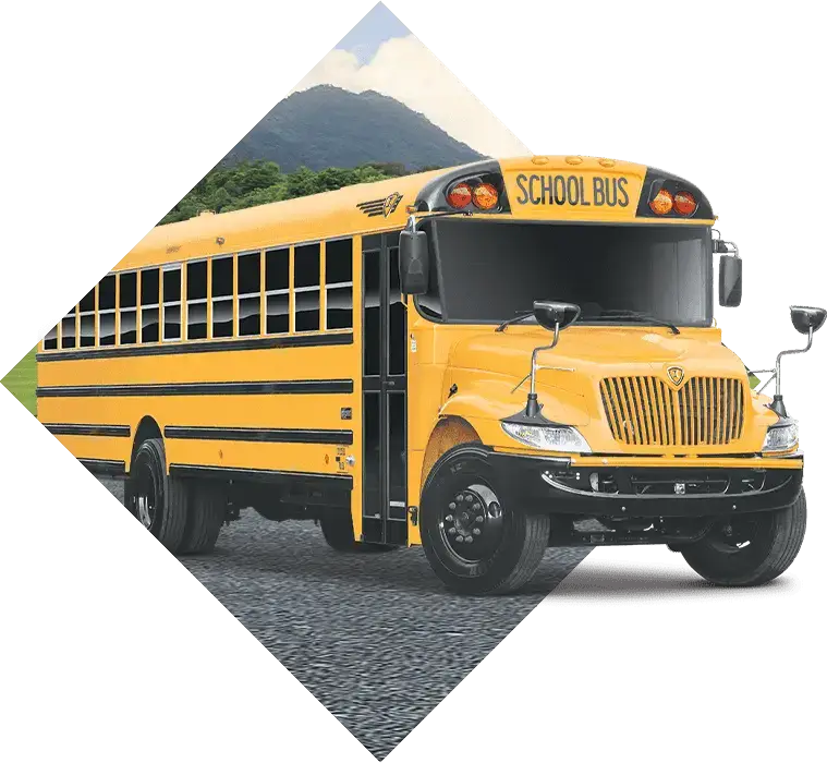School Buses For Sale