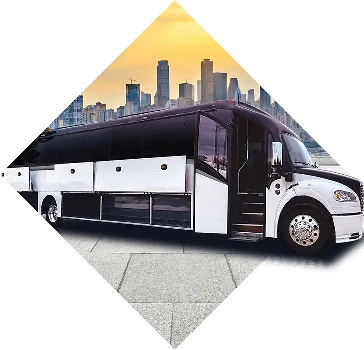 Coachliners For Sale