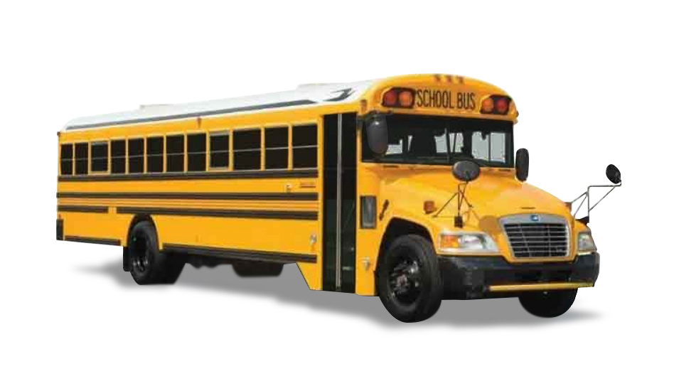 Blue Bird School Bus
