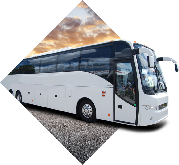 buses for sale