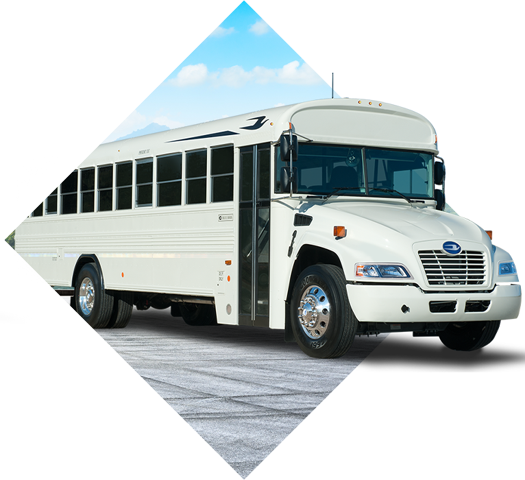 buses for sale
